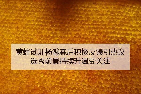 黄蜂试训杨瀚森后积极反馈引热议 选秀前景持续升温受关注