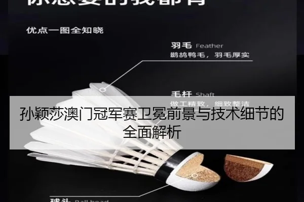 孙颖莎澳门冠军赛卫冕前景与技术细节的全面解析